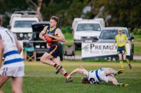 Crows clear Cats in finals preview post image