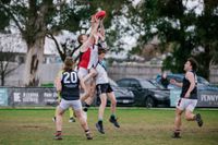 Traf close out Tigers post image