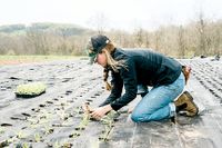 Young farmers backed post image