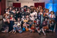 CATS slink back on stage post image