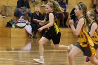 Basketball Under 12 Girls Gladiator Shadows vs Warranor Ballers - September 10, 2026 post image