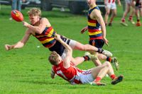 EDFNL Football Seniors: Longwarry vs Trafalgar - August 29, 2026 post image