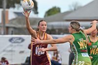 Hawks are grand final bound post image