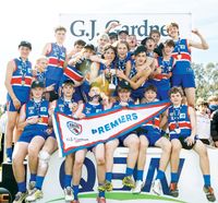 Bulldogs too good in under 16s post image