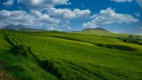 2026 Gippsland Spring Field Day post image