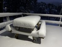 No business for snow business post image