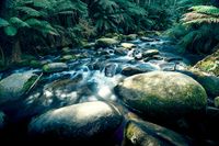 Do you have a photofor a Christmas card? post image