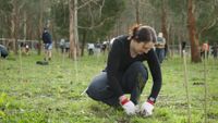Landcare Grants bolster grassroots efforts in nature conservation post image