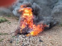Dump and burn comes at a cost post image