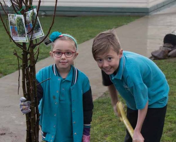 Schools join Tree Day post image