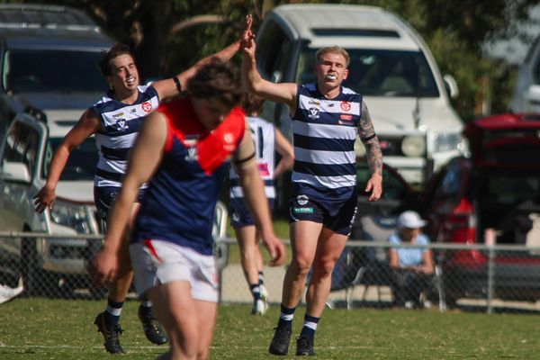 Wallis the hero late for Magpies post image