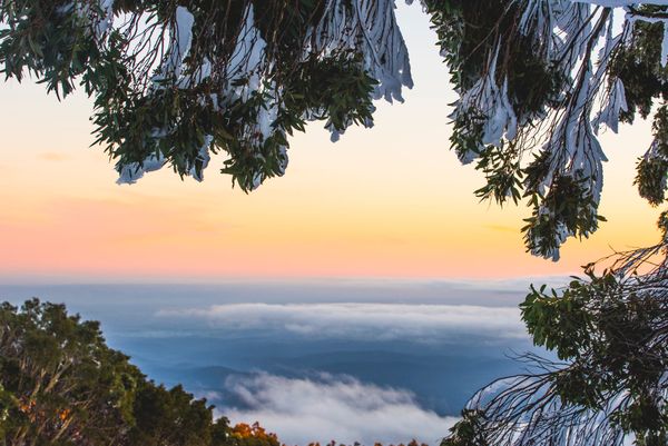 Petition calls for alpine funding post image