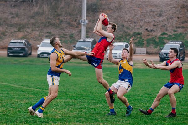 Lyrebirds pinch win post image
