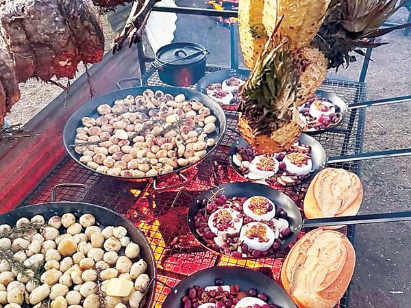 Feast over fire ignites Noojee truffle post image