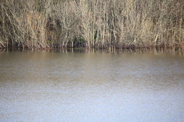 Monitoring dam water levels post image