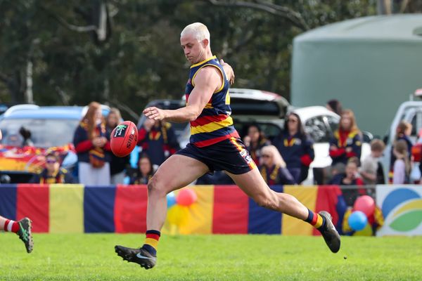 Crows fly into grand final post image