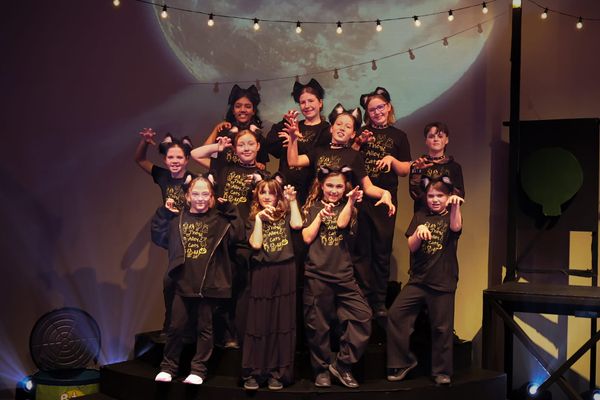 Kids make CATS a roaring success post image