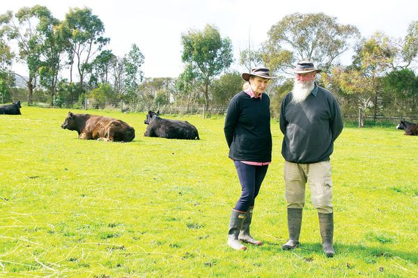 Lack of drainage costing farmers millions post image