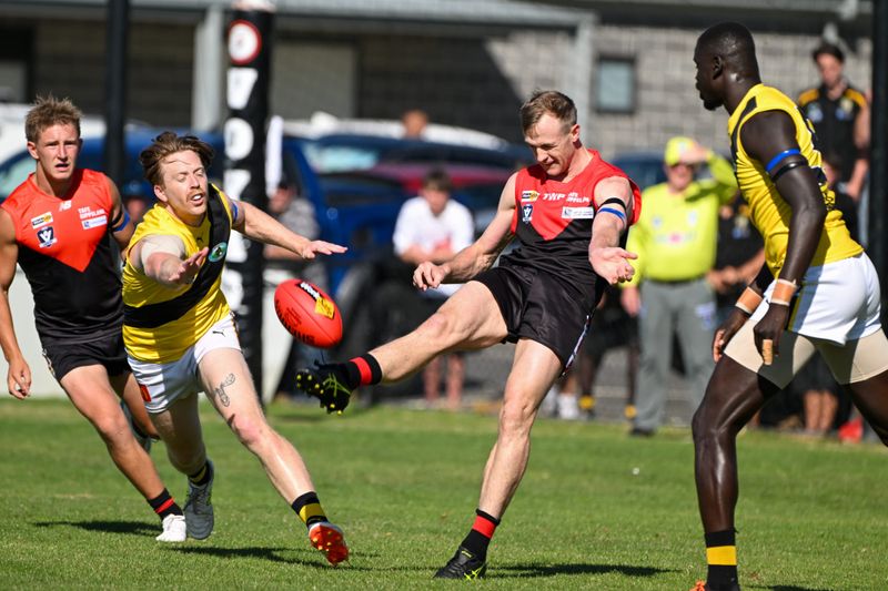 Gulls tumble to Tigers post image