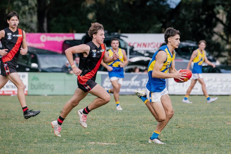 Eagles evisceration post image