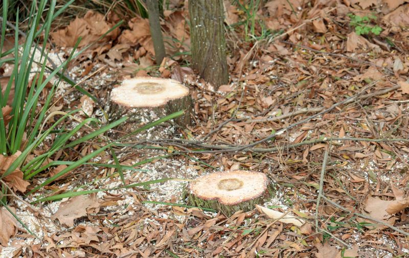 Gazette News - Sep 9, 2025 post image