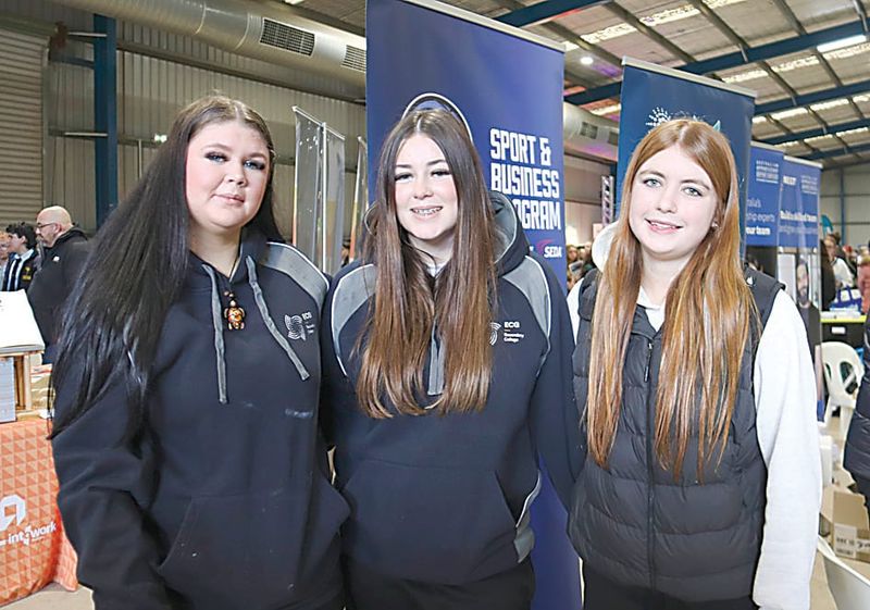 Students assess skills and career options post image