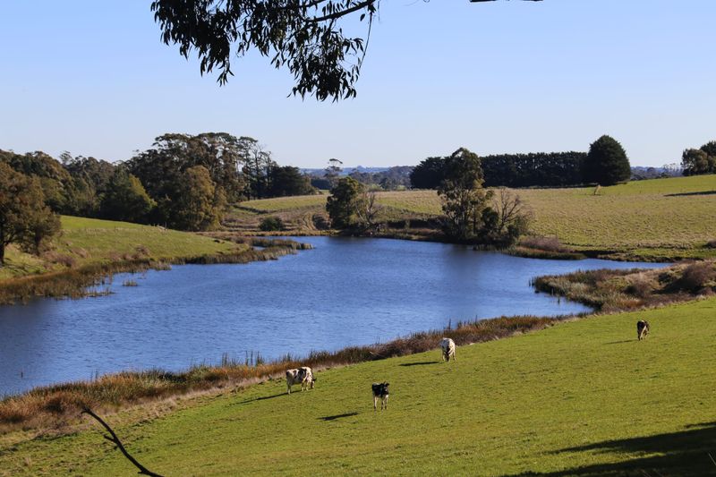 When will my dam fill post image