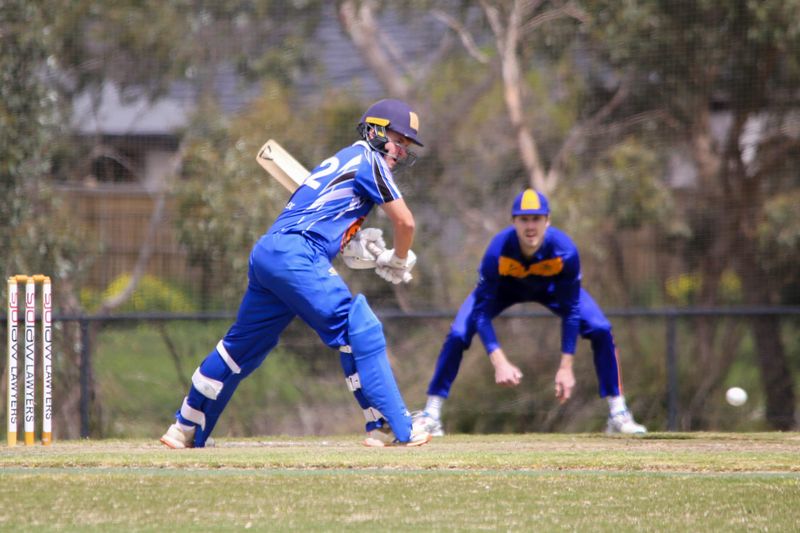 Cats claw Hawks in division one post image