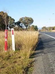 Funding to weed out fire risk post image