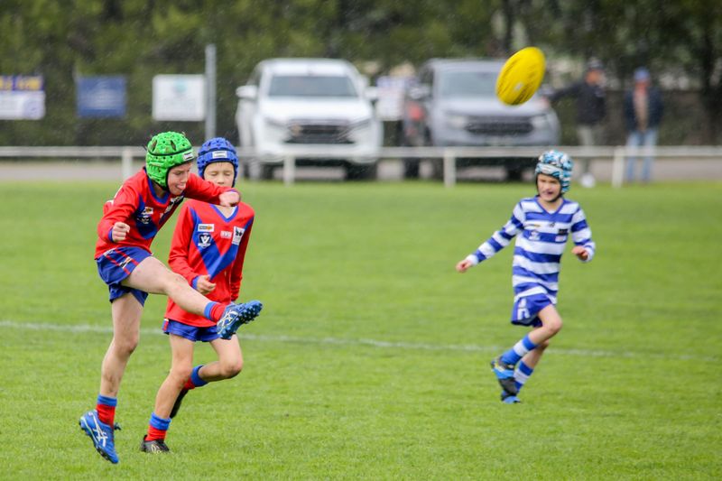 WDJFL Under 10s - Buln Buln vs Neerim District, August 23, 2025 post image