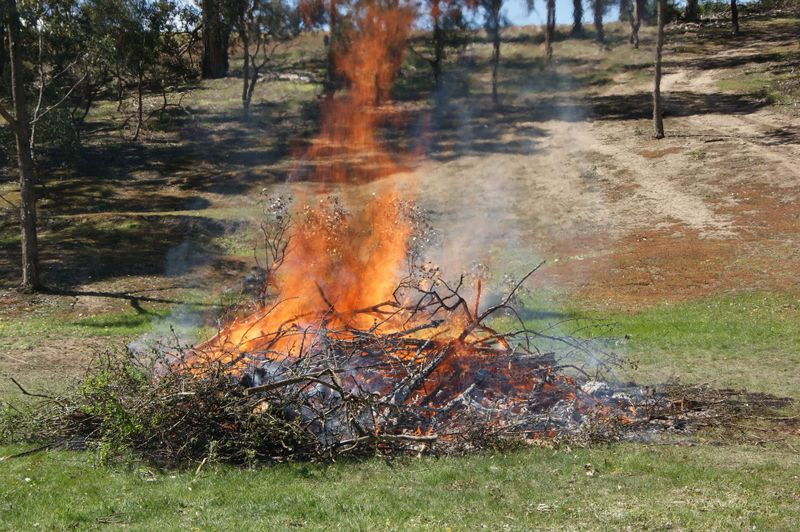 CFA concerned with increased illegal fires post image