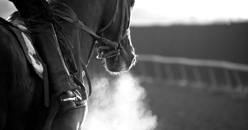 Everything you need to know about the Flemington track post image