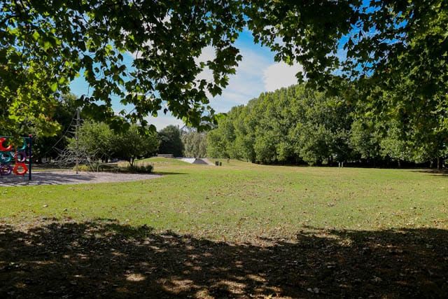 Baxter Park - 25.02.2025 post image