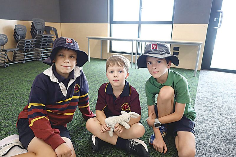 Finding a friend in buddy program post image