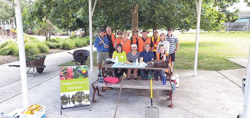 Volunteers needed for Friends of Drouin's Trees post image