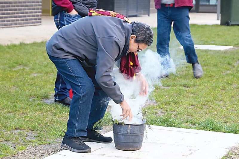 Dragons continue to grow in 50 years post image