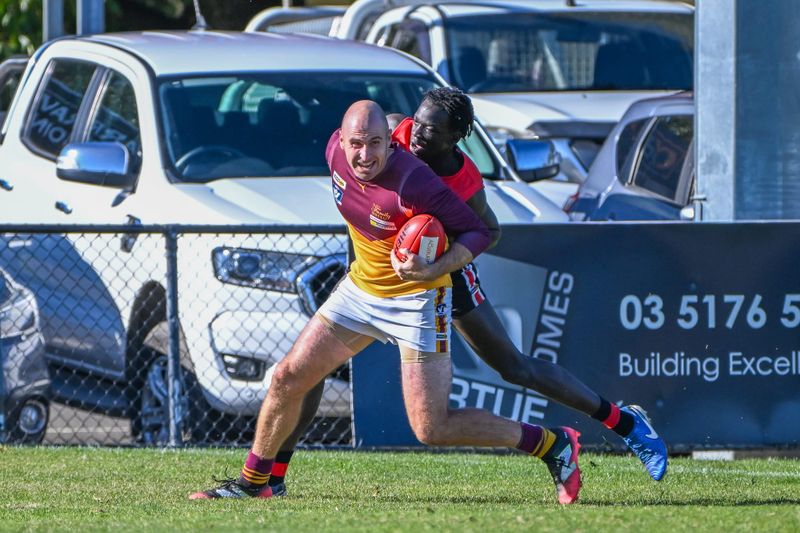 Clean sweep for Gulls post image