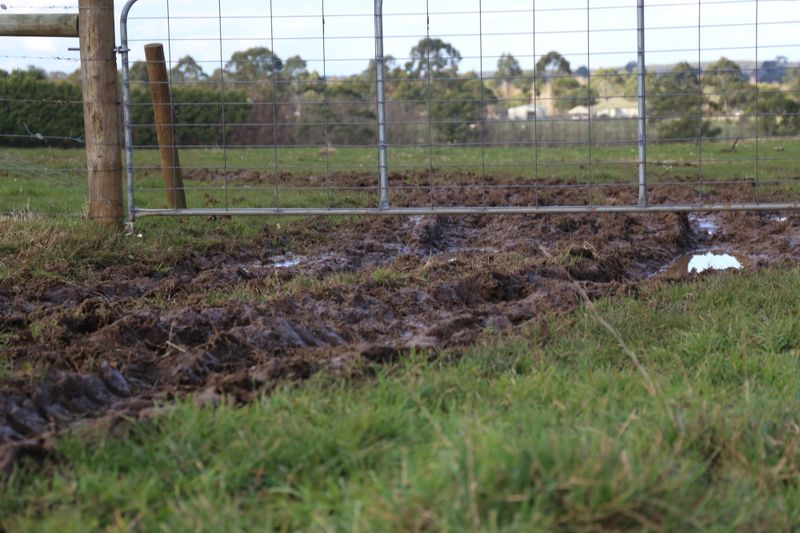 Farm safety: from paddock gate to the kitchen table post image