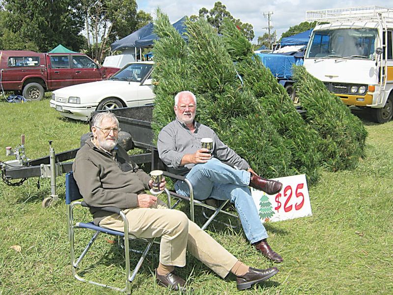 Rotary trees a part of Christmas for 45 years post image