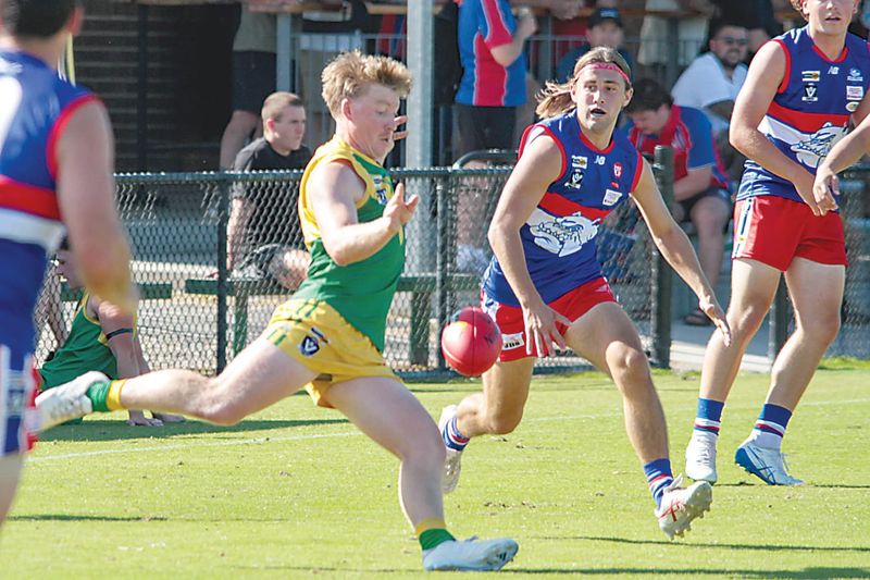 Stars suffer Bulldog mauling post image