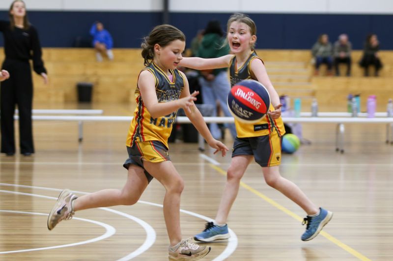 Basketball U10 Girls Warranor Finches vs Warranor Sparrows - July 24, 2025 post image
