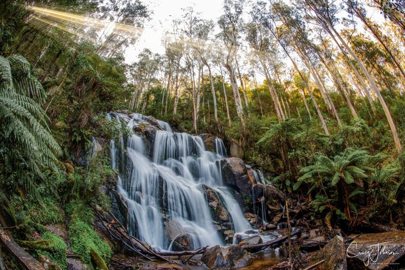 Kestigan to join Destination Gippsland post image