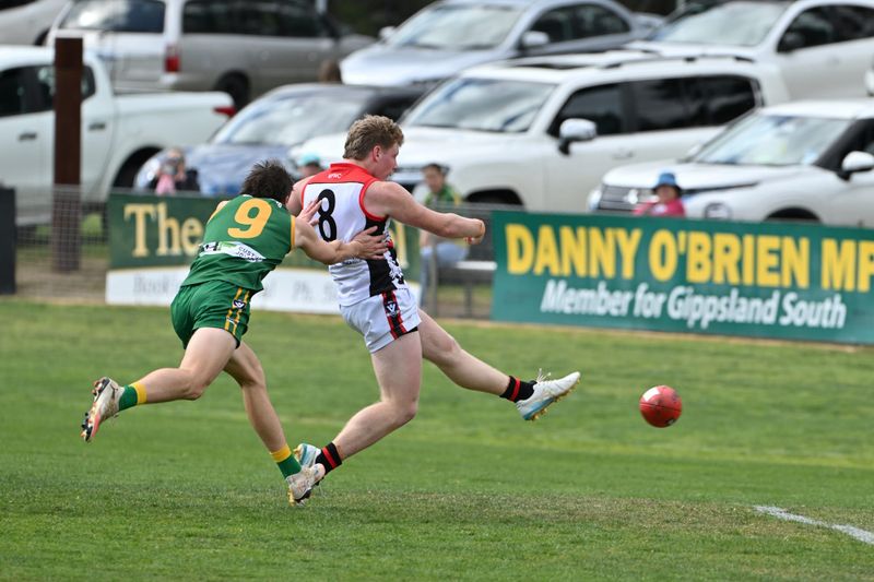 Gulls downed by wayward Parrots post image