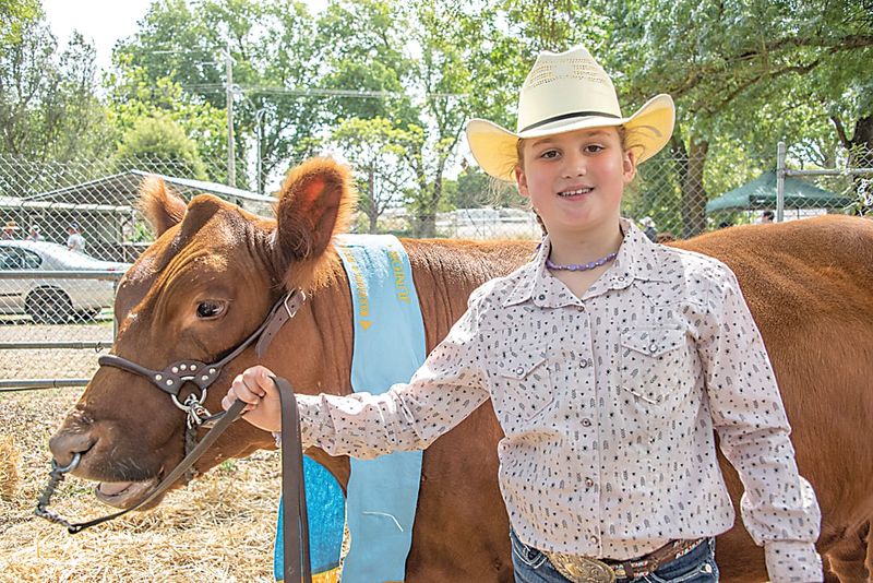 Cattle traditions continue post image