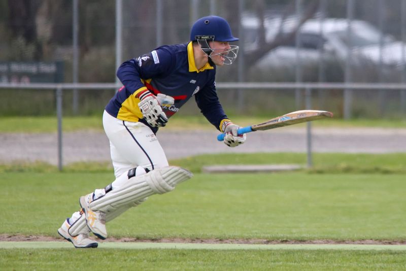 Cats by a whisker in division three post image