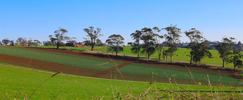 Farmers' frustration at levy post image