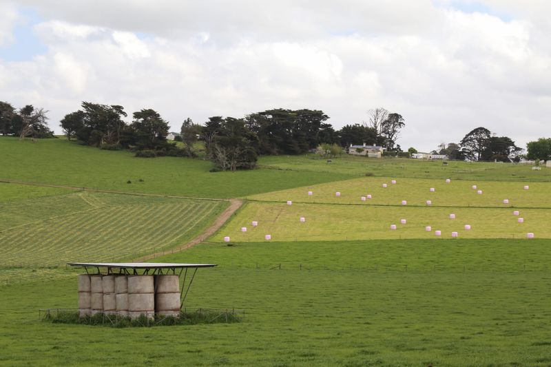 Storing hay on farm post image