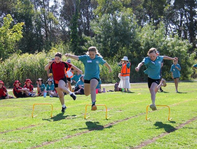 Nilma and Lardner PS Sports - 11.03.2025 post image