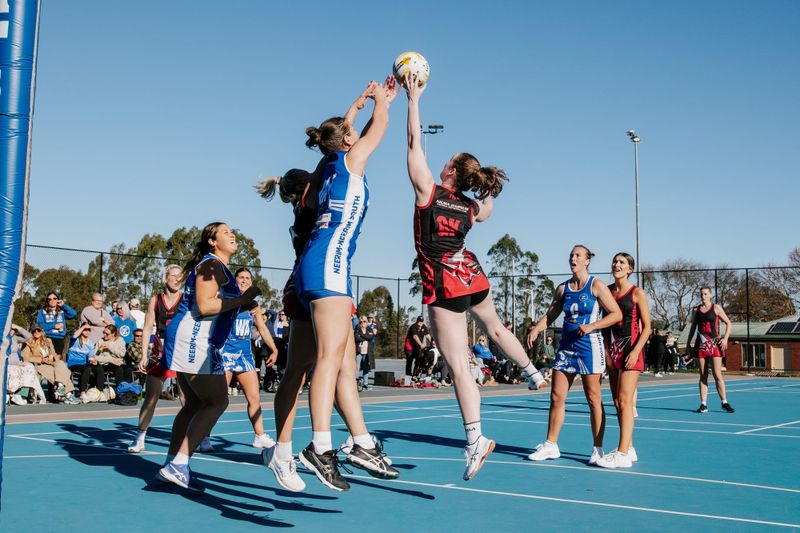 Cats defeat Bombers post image