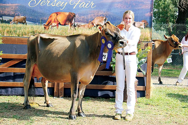 Exhibitiors continue Jersey fair tradition post image